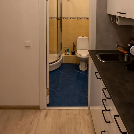 Апартаменты Bright Center *